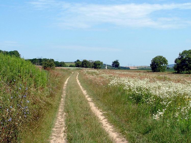 Mezei keréknyomokon a kőkereszt után