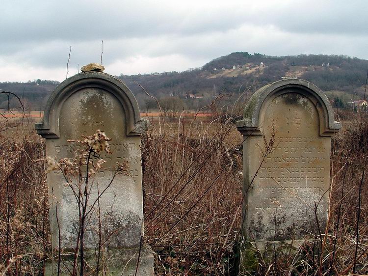 Egy régi zsidó temető sírkövei