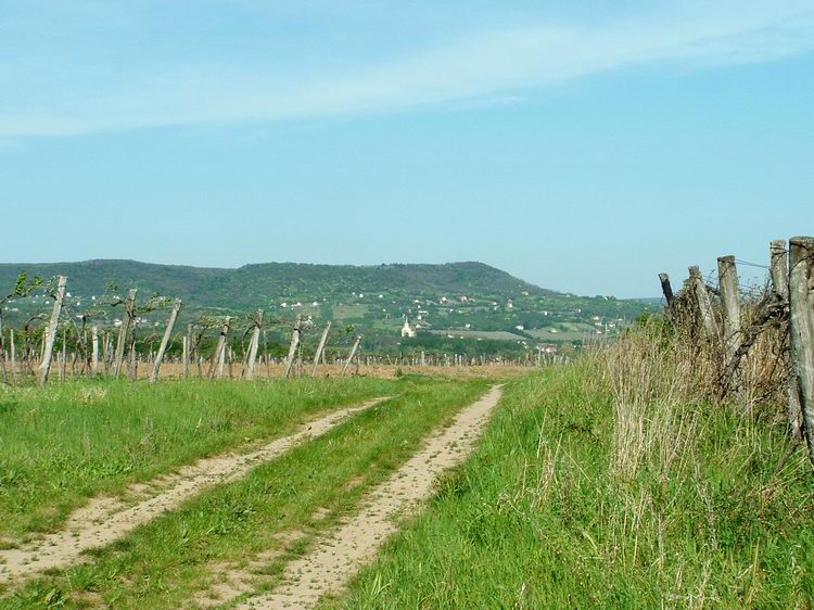 Kilátás a még távoli Fekete-hegyre