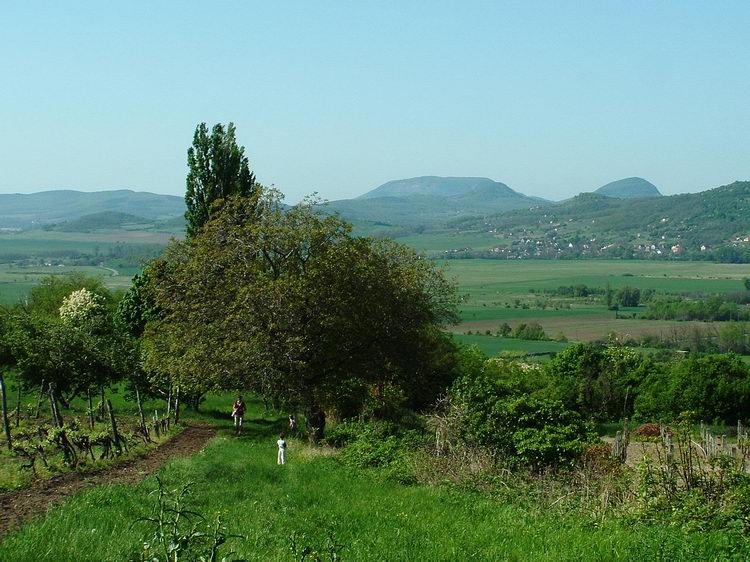 View from the ruined church of Töttöskál