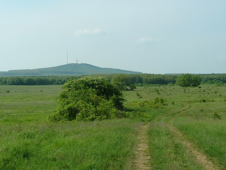 Across the fields towards the Kab Mountain