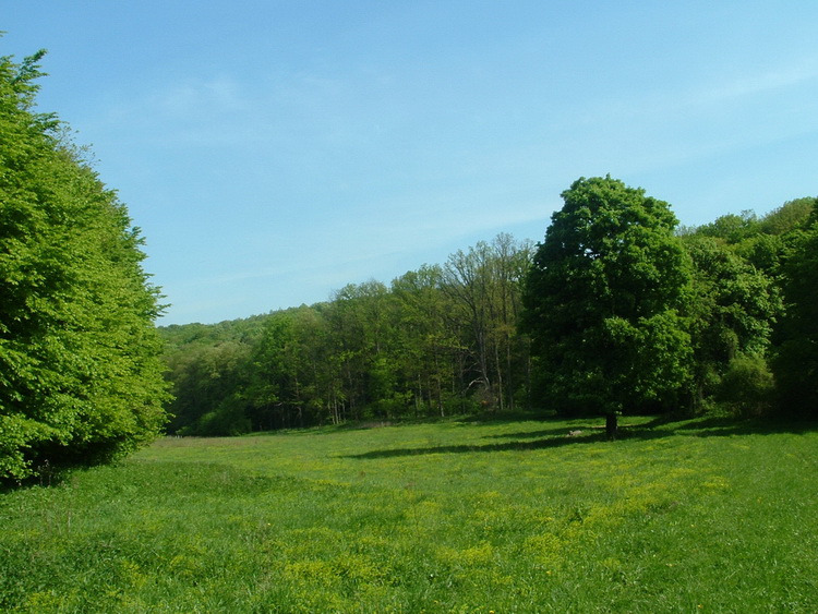 A Csollányos-völgyben 1.