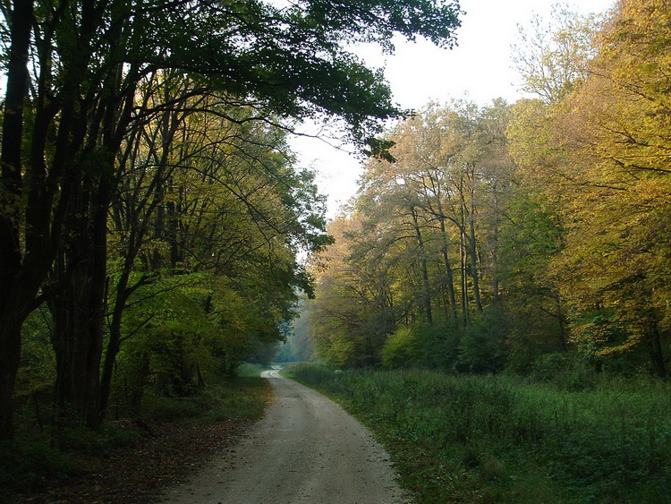 On the dirt road of Csollányos Valley