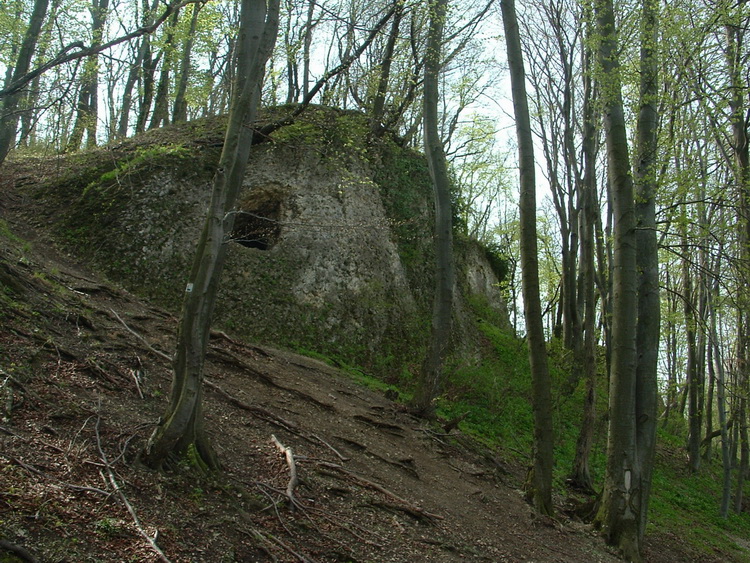 Hölgykő várának szerény romjai