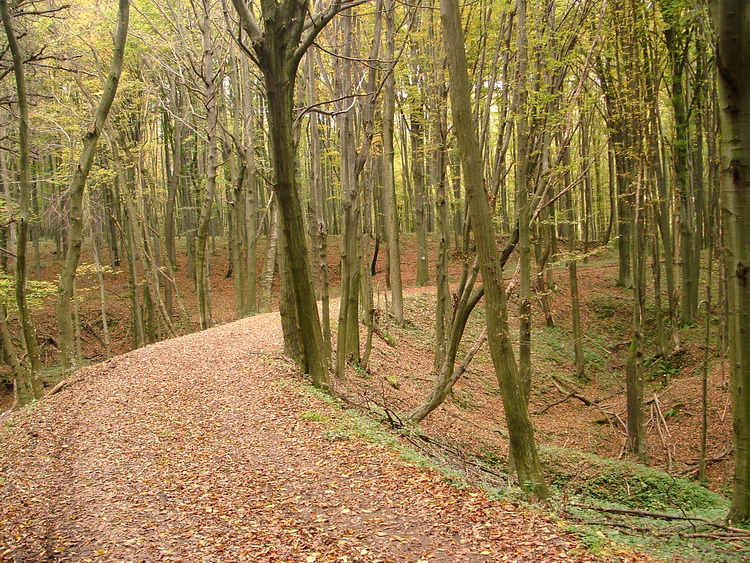 Walk on the winding embankment of the former railway