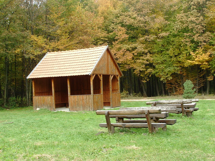 Erdei pihenő a dombgerincen