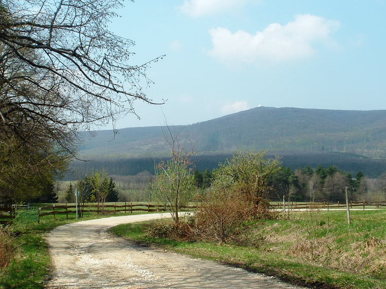 Visszatekintés a Kőris-hegyre