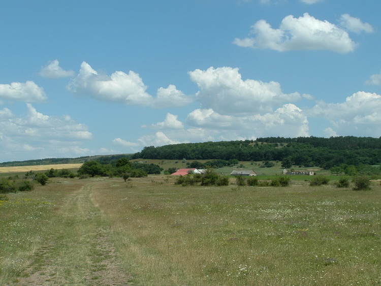 Bakonykúti-puszta felé