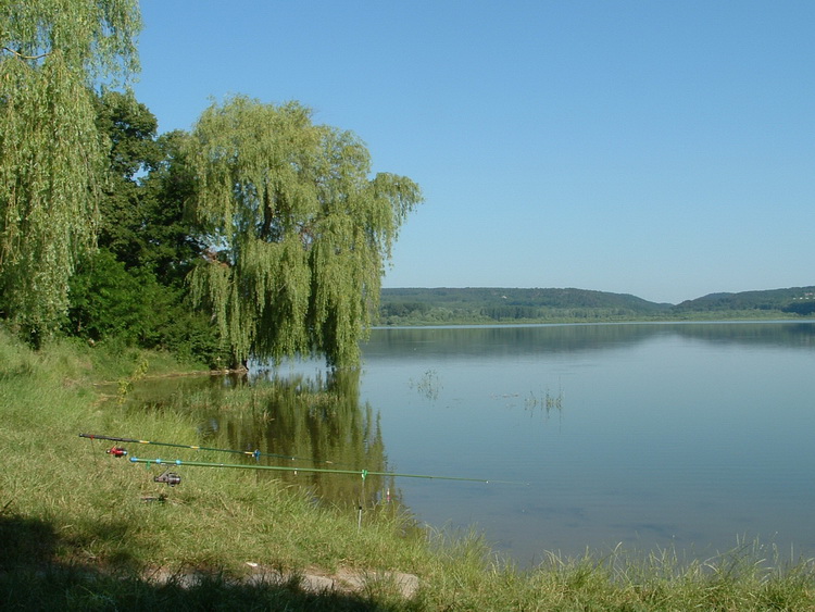 On the coast of the reservoir