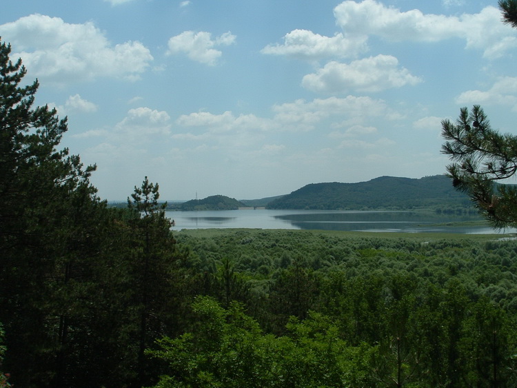 View from the hillside