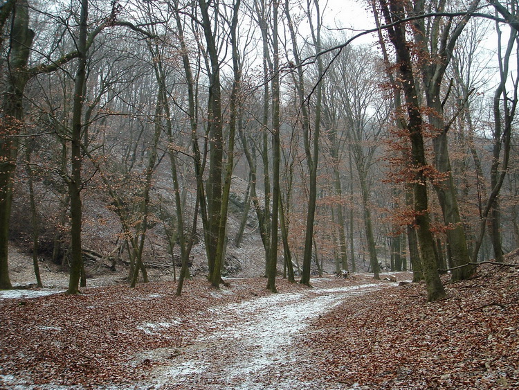 A Gaja-völgyi tájcentrumban 6.