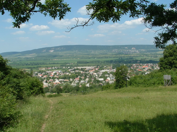 View from the top of the ski slope to the forest-covered side of Vértes