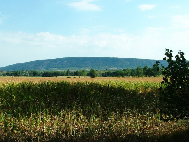 The Vértes Mountains taken from the access road of Bodajk