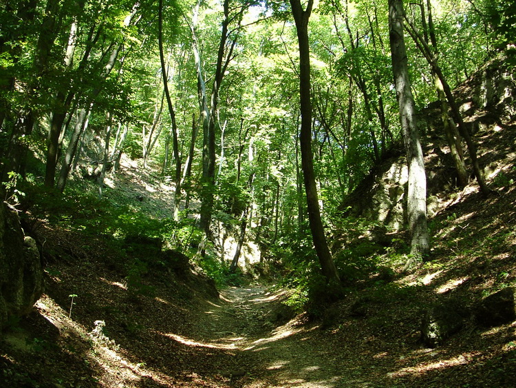 Hard climb in the valley towards the plateau