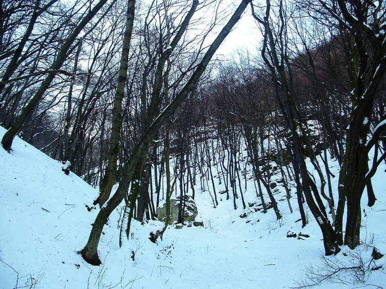 A Vár-völgyben télen