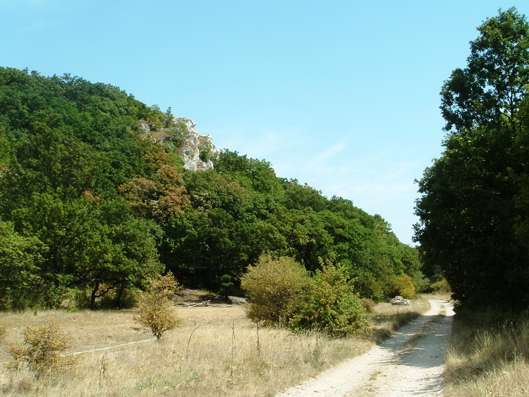 On a dirt road towards Gánt village