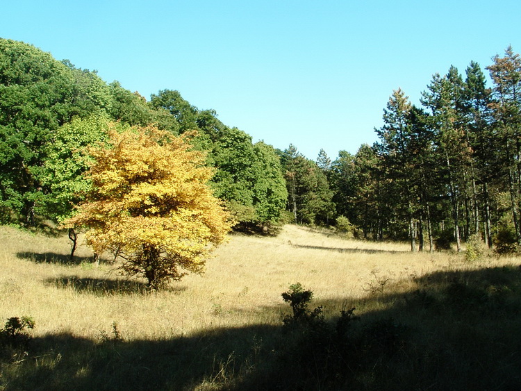 A Pap-völgy keréknyomain 3.