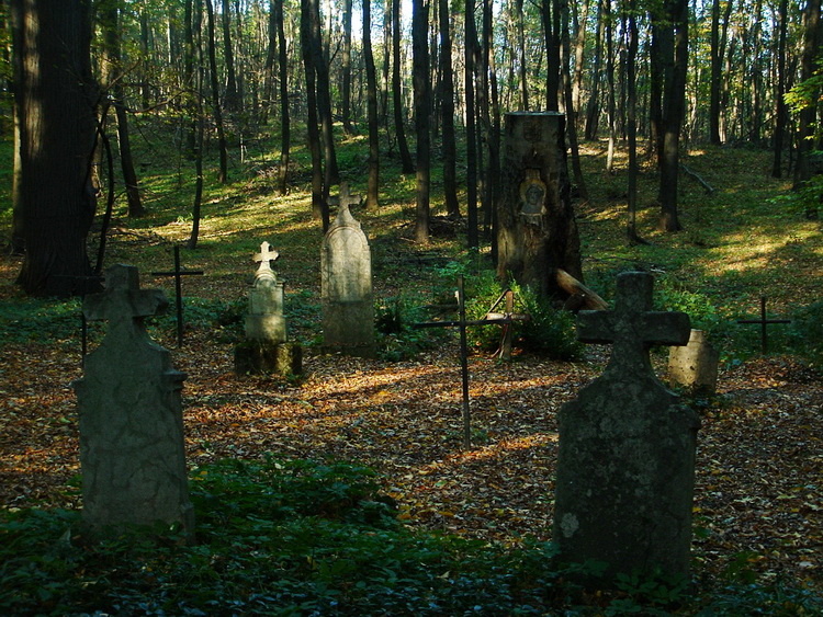 A Körtvélyespusztai öreg temető 3.