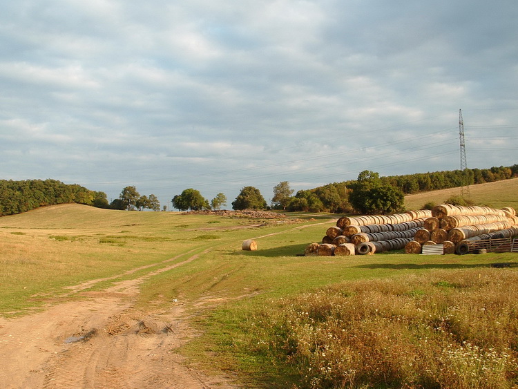 On wheel tracks across the field