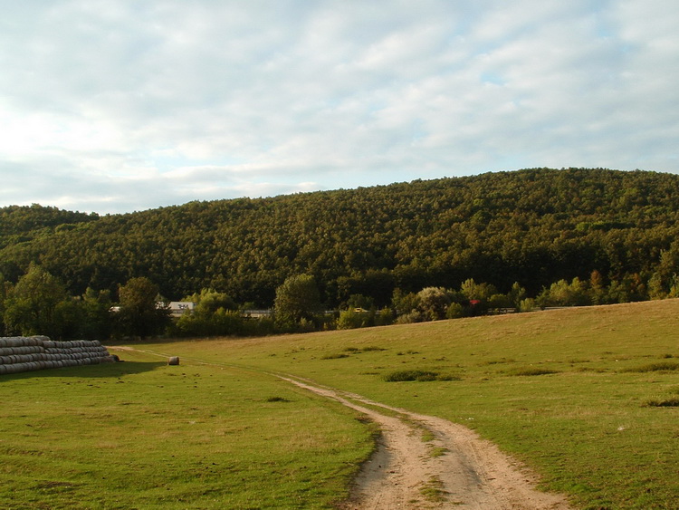 Visszatekintés a Halyagosra