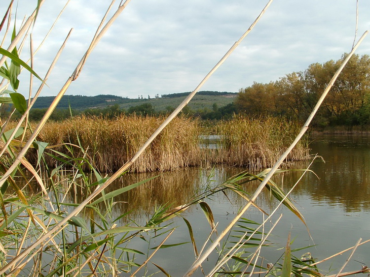 At the coast of a small artificial lake