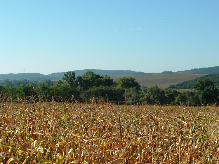 Visszatekintés a Halyagosra