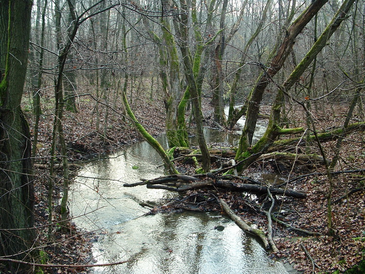 A Tarjáni-malompatak