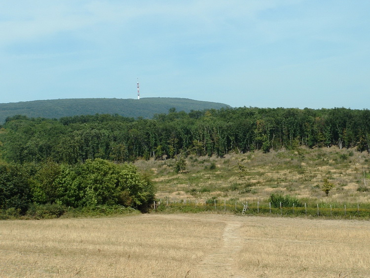 View towards the Gerecse Mountain from the fenced area