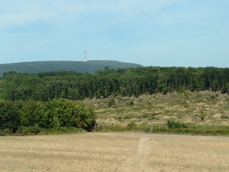 Kilátás a bekerített mezőről a Gerecse-hegyre