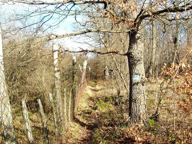 Kerítés melletti ösvény a Fekete-kő oldalában