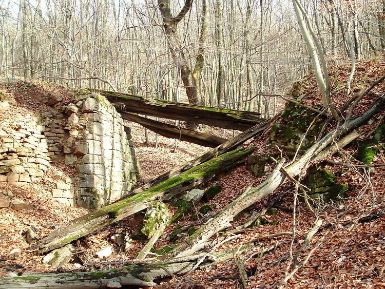 The embankment and a destroyed bridge of the former narrow gauge railway line