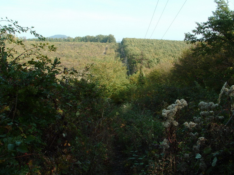 On dirt road beside the power line. You can see the top of Öreg-kő Hill in the distance.