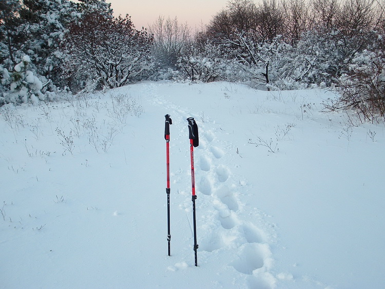 A Nagy-Gete tisztásán télen