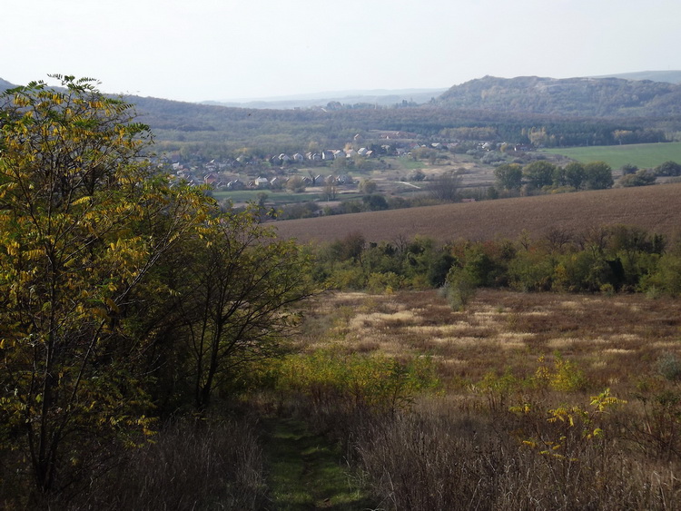 Across the fields towards Piliscsév village