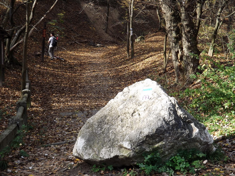 A Remete-szurdok sétaútját elrekesztő sziklatömb