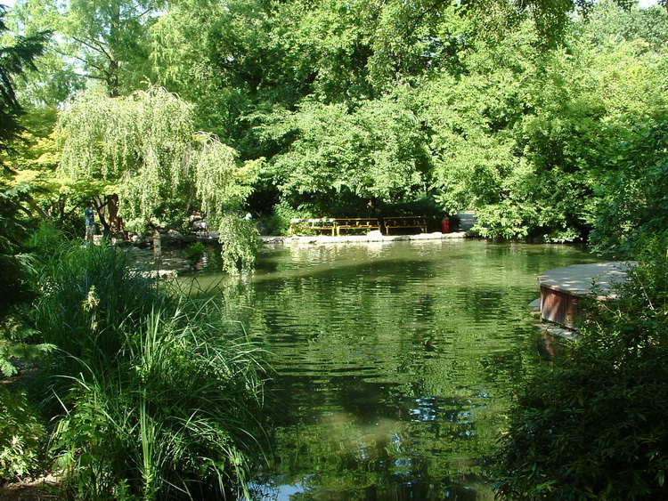 Margitsziget - A Japánkertben 3.