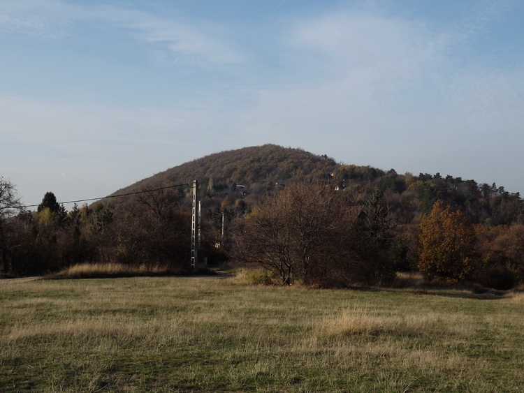 A Csúcs-hegy a Virágos-nyereg rétjéről nézve