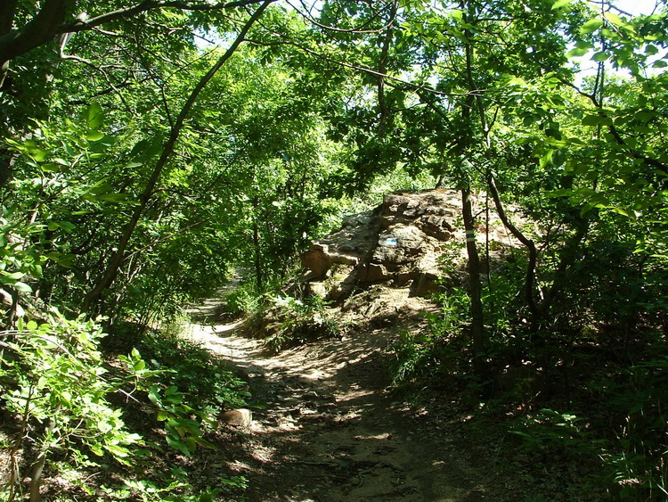 On a winding path on the top of the Köves-bérc Hill