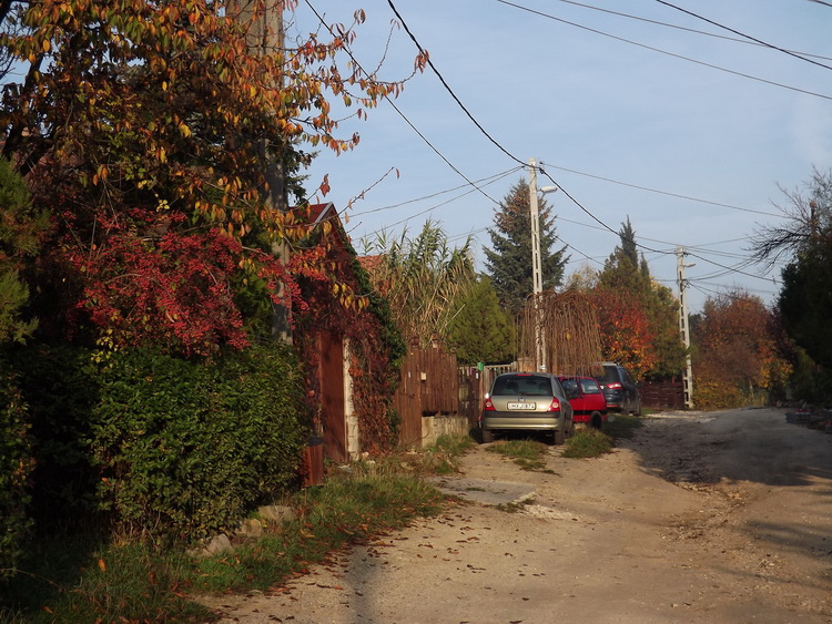A pilisborosjenői Kőfaragó utca ősszel