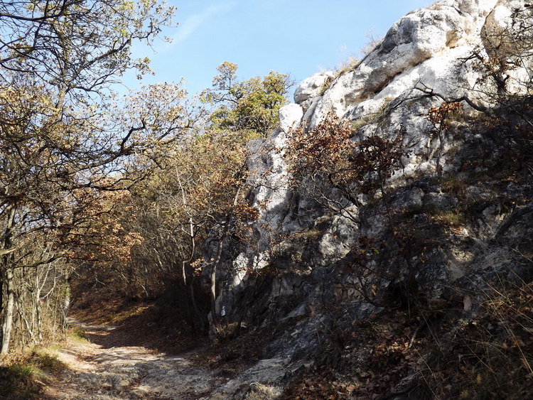 We climb on a stony path in the side of the Nagy-Kevély