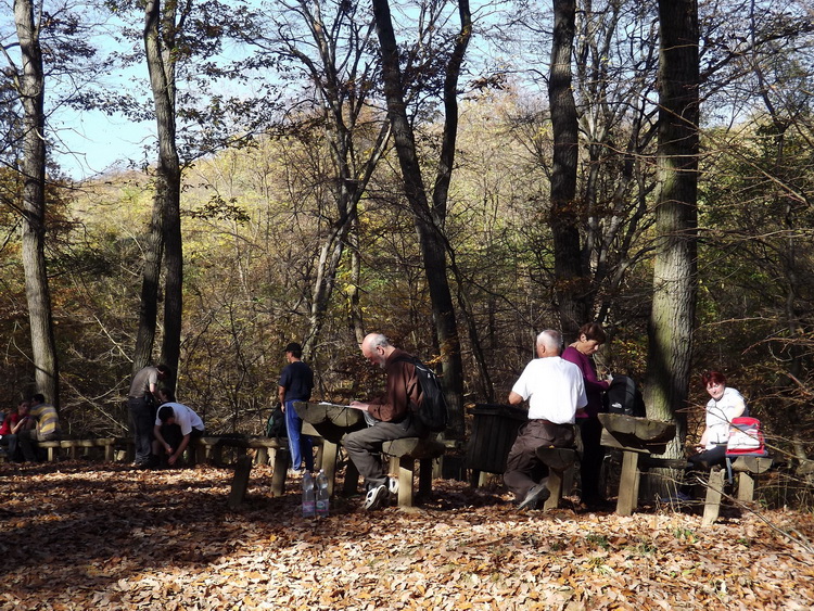 Erdei pihenő padjai, asztalai a kápolna mellett