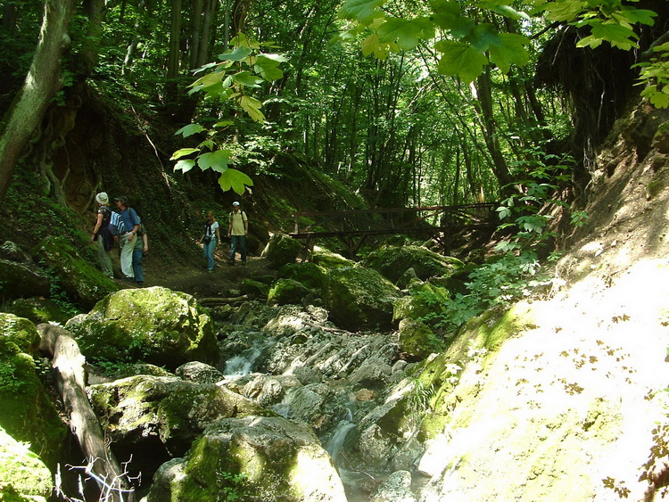 In the Gorge of Pilis