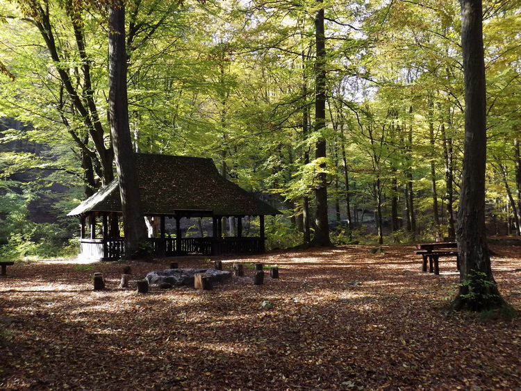 Shelter on the place of the former pioneers' camp