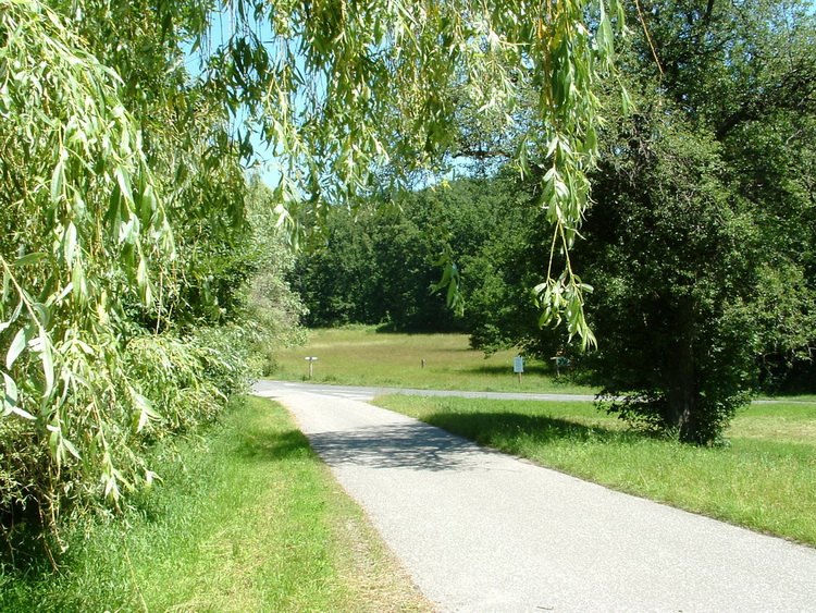 The Pap Meadow lies at the crossing of narrow asphalt roads