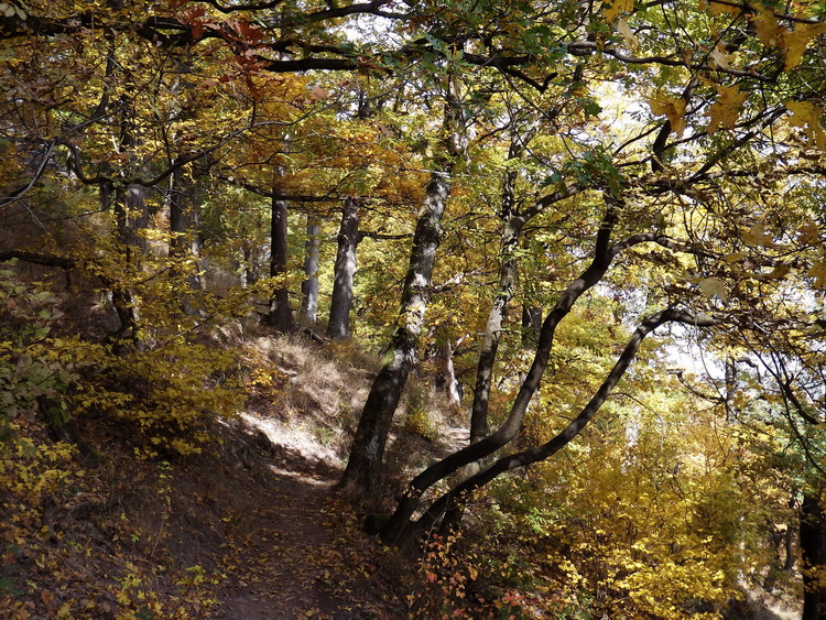 Narrow path on the side of Urak Asztala Mountain