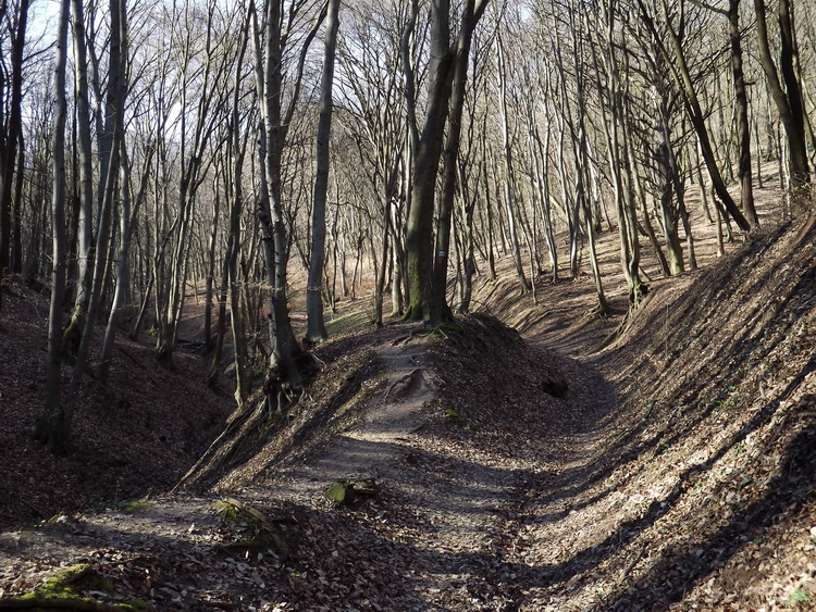 The path climbes hard in the Templom-völgy Valley