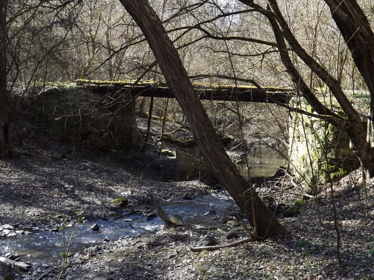 A Törökmező turistaház után egy rozzant hídon keresztezzük a Malom-völgyi patakot