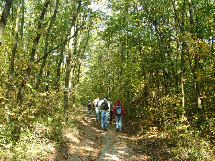 Turistacsapat útban a Békás-rét felé