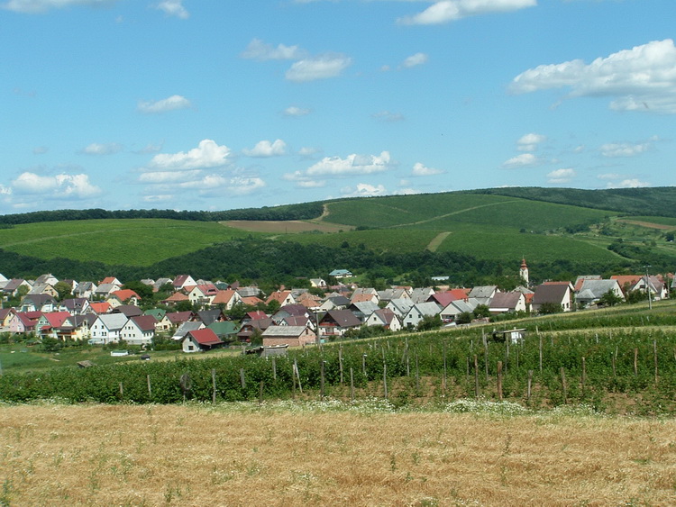 Kilátás Szendehelyre a mezőkről