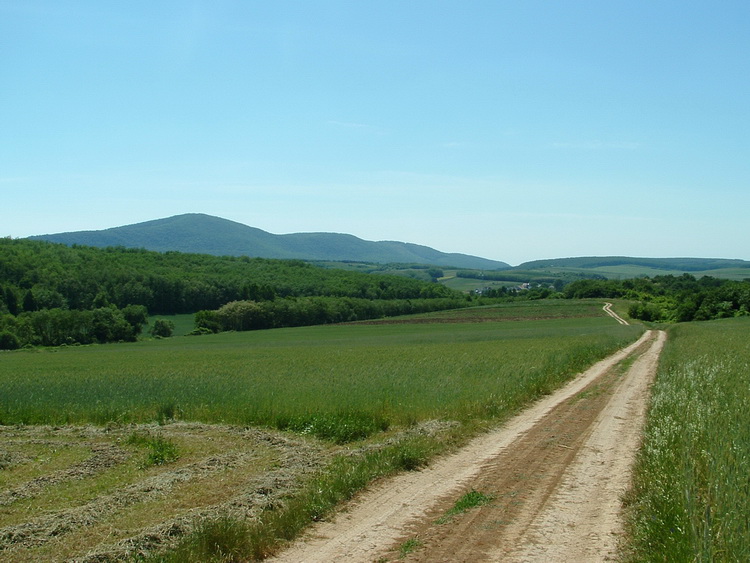 Visszatekintés a mezőkről Ősagárdra és a Naszályra